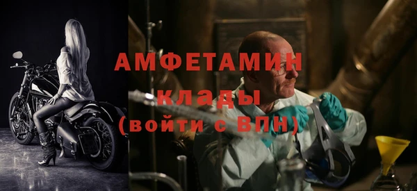 дживик Верхний Тагил