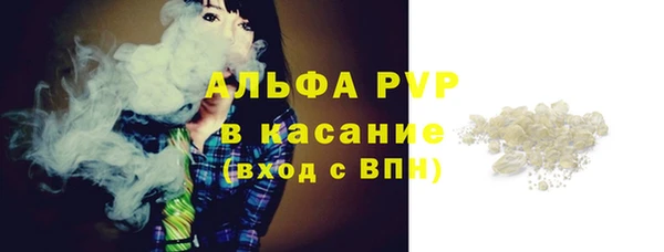 дживик Верхний Тагил