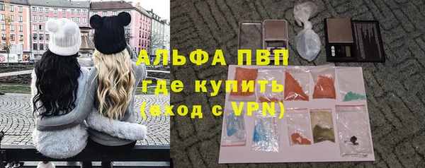 дживик Верхний Тагил