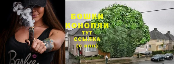PSILOCYBIN Волосово