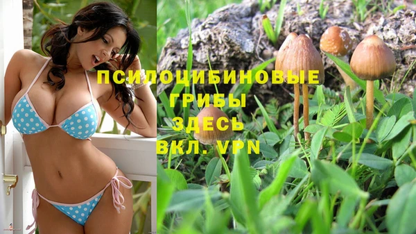 молекула духа Верея