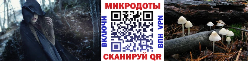 Псилоцибиновые грибы Psilocybe  Ярославль 